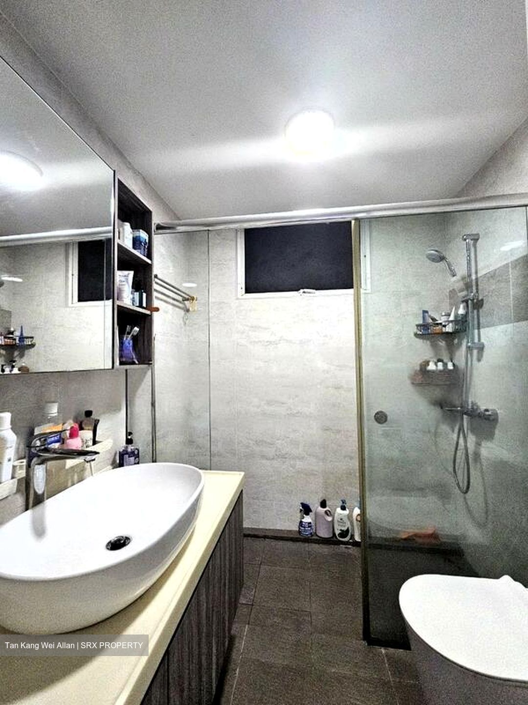 Bishan Park Condominium (D20), Condominium #449204861